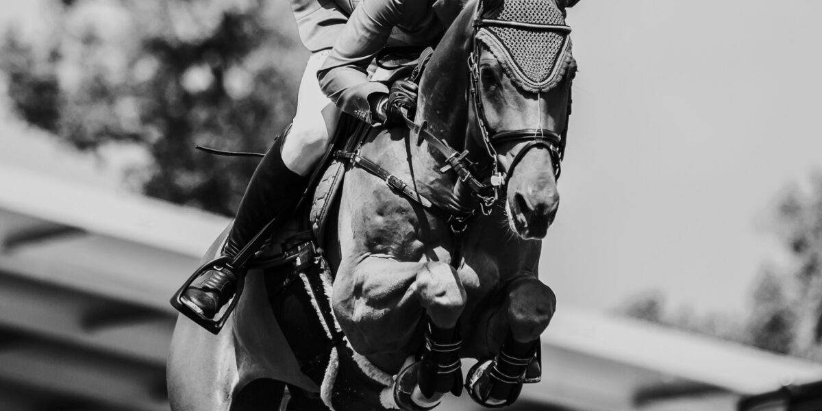 Soldier In Milan wins the Irish Grand National