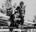 Soldier In Milan wins the Irish Grand National