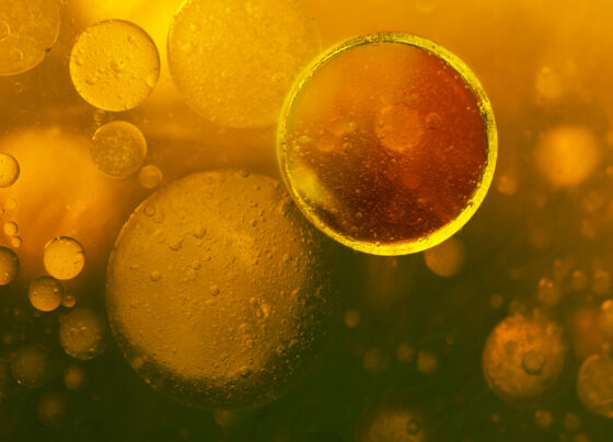 What is iodine and why do I need it