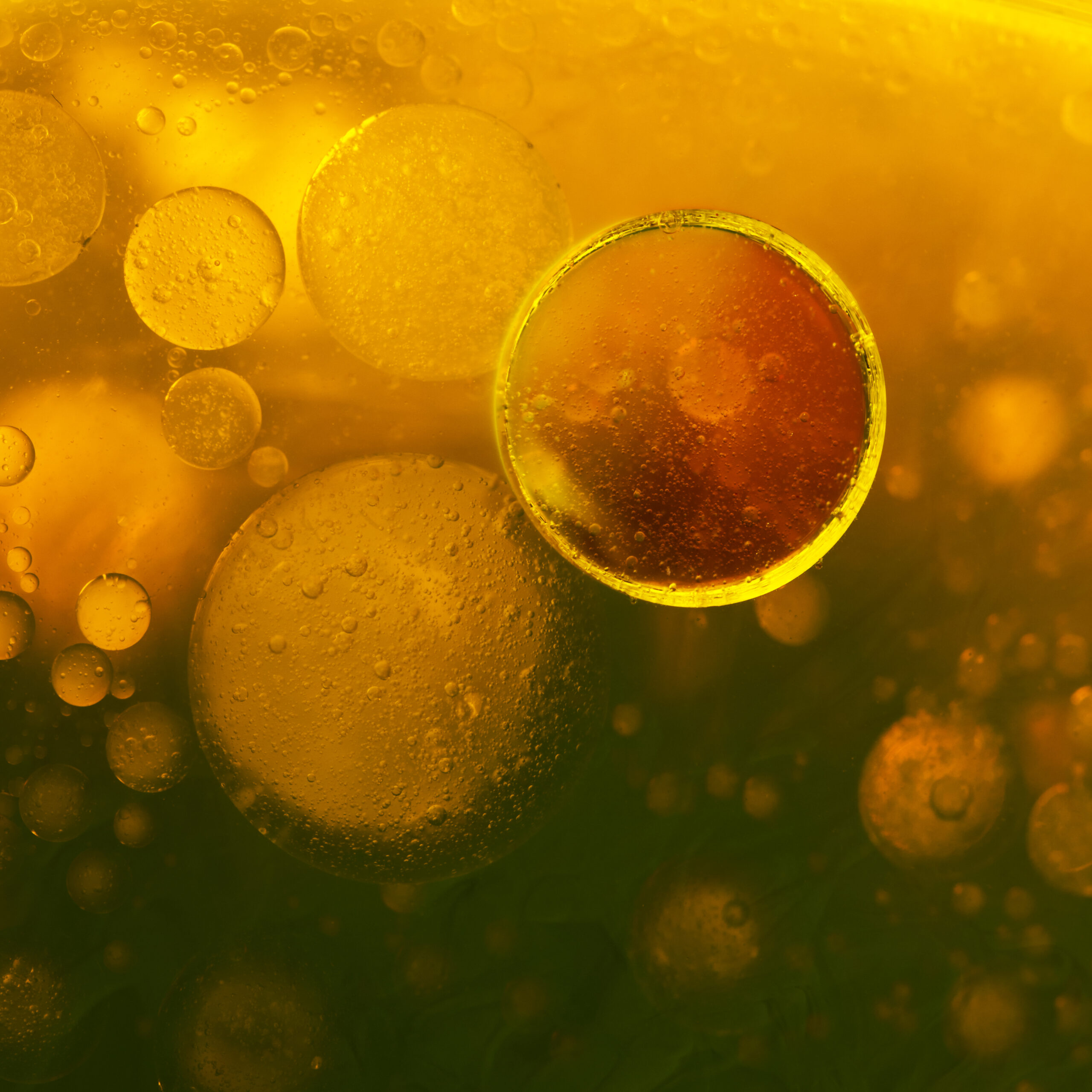 What is iodine and why do I need it?